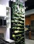 Jardim vertical na cozinha