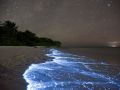 “Mar brilhante” nas Maldivas - Fotos © Doug Perrine