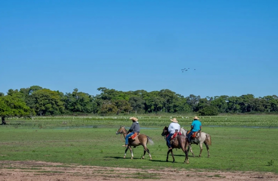 Pantanal  nico ponto turstico brasileiro eleito como um dos 50 melhores destinos do mundo pela Times