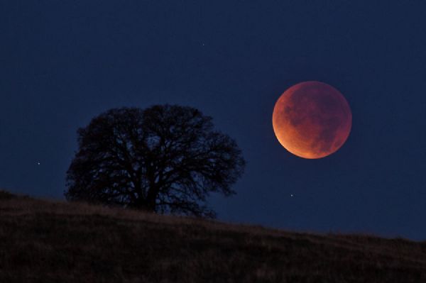 Final de semana ter eclipse lunar total e 'Super Lua de Sangue'