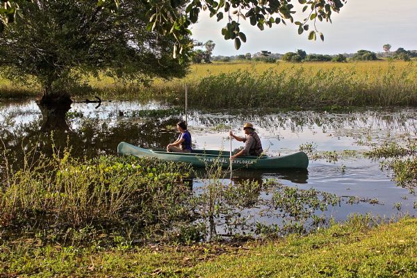 Pantanal mato-grossense