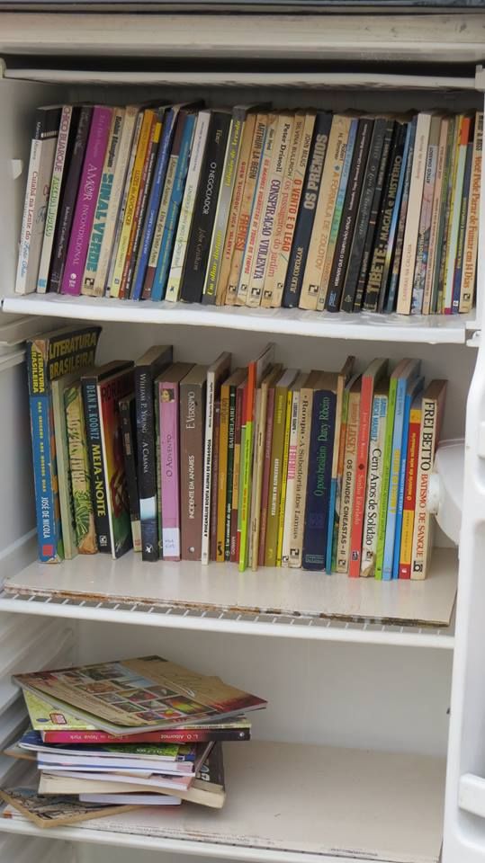 Escola de filosofia instala 'geladeira-biblioteca' com cerca de 300 livros em praa de Cuiab