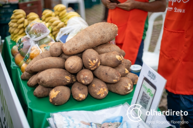 Feira em Cuiabá traz frutas, legumes e verduras diretamente do interior do estado