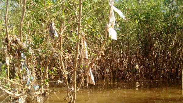 Ao do Dia do Meio Ambiente promete limpar cinco quilmetros do Rio Cuiab