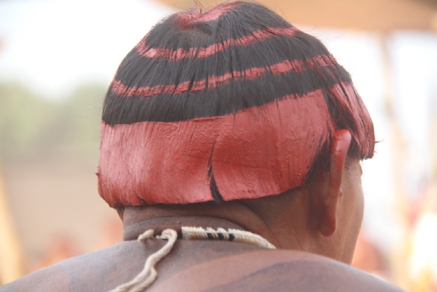 Cabeça feita - Xingu