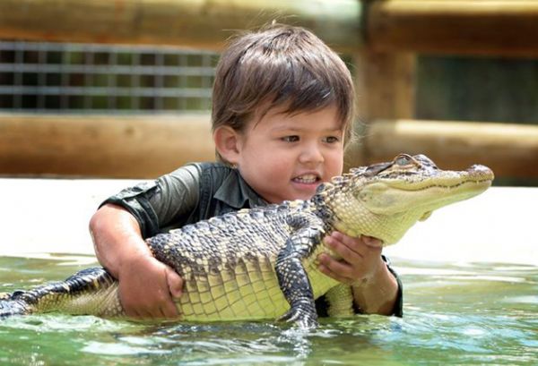 Com apenas 3 anos, ele  o domador de crocodilos mais jovem do mundo  (Confira fotos )