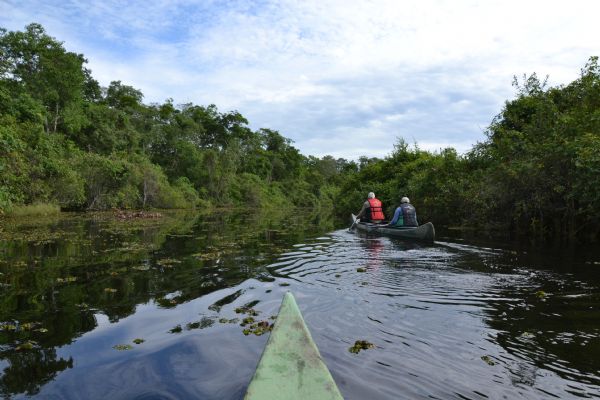 Canoagem nos corixos do Pantanal possibilita safri na gua e atividade fsica para turistas na cheia