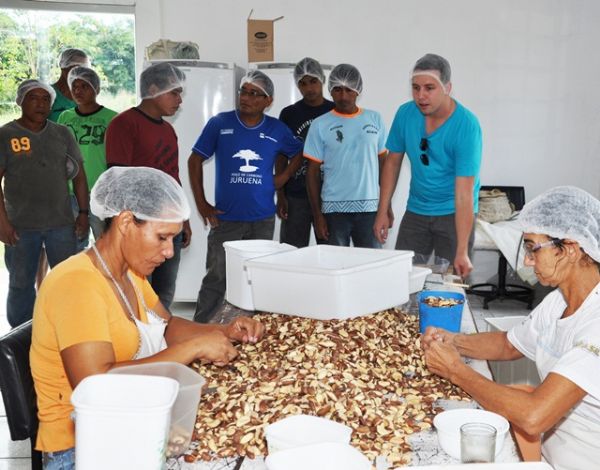 Cooperativa mato-grossense de produo de castanhas  a nica do estado que estar nas Olmpadas