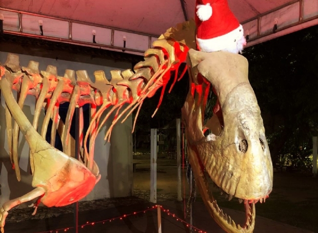 Museu de História Natural de Mato Grosso traz noites especiais de Natal a partir desta sexta-feira