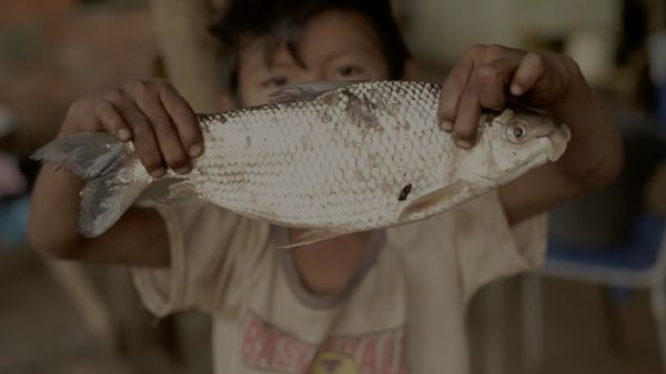 Histórias que encontram o rio: documentário “Meu Rio Vermelho” é exibido no Sesc Arsenal
