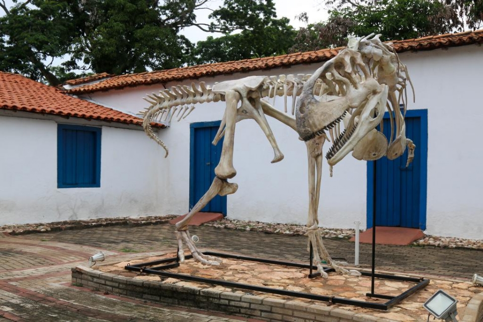 Museu de Histria Natural retoma exibio de rplica de dinossauro