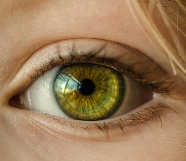 O olho humano: uma ferramenta que nos permite contemplar e dar sentido à vida