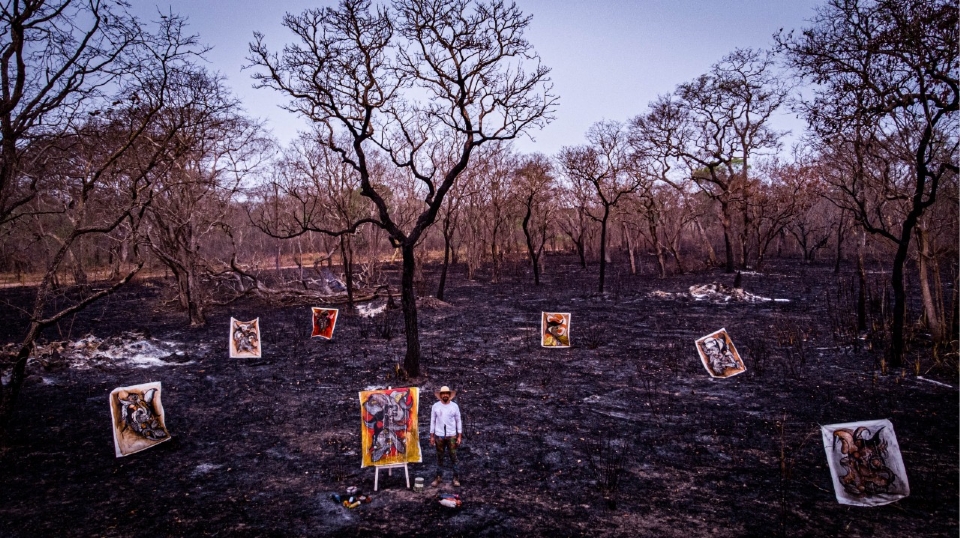 Documentrios que abordam incndios de 2020 no Pantanal so exibidos no Cine Teatro