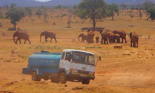 Ele dirige horas diariamente para levar gua aos animais silvestres que sofrem com a seca no Qunia