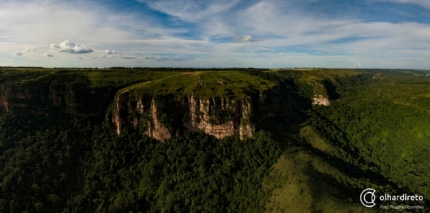 Parque Nacional da Chapada e Reserva do Cristalino participam de campanha de proteo da  biodiversidade