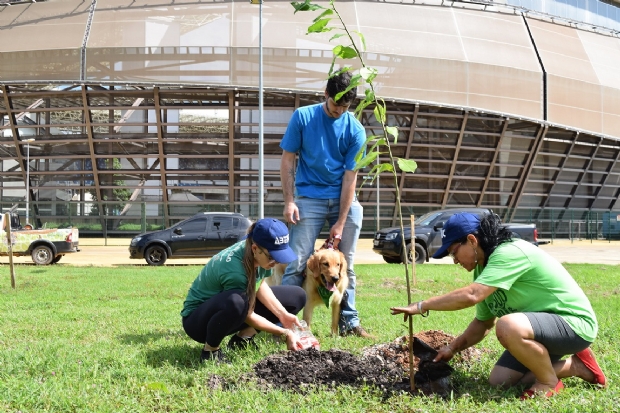 Vanguard e projeto Verde Novo plantam mais de cem mudas de árvores no próximo sábado