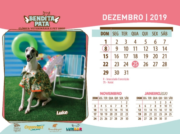 Pet Shop vende ‘calendário canino’ para ajudar animais abandonados