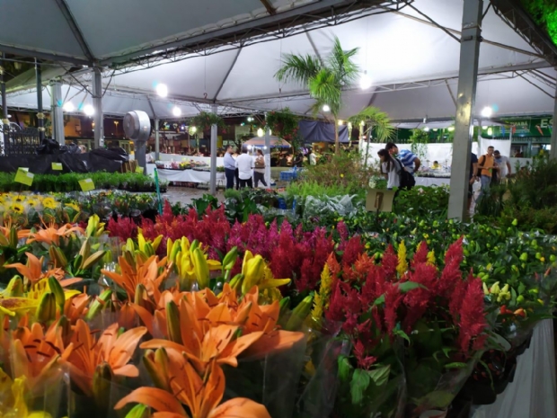 Festival das Flores ganha edição extra em Cuiabá com dezenas de espécies diferentes