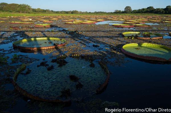 Instituto Suíço Ramsar faz concurso de fotografia sobre áreas úmidas e dá viagem para qualquer sítio do mundo