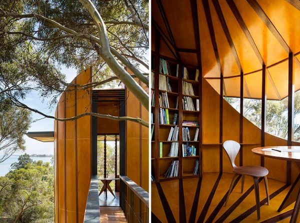 Arquiteto cria estdio estiloso em cima de uma rvore e com vista para o mar