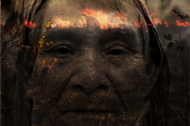 Artistas lanam exposio online sobre as queimadas em Mato Grosso