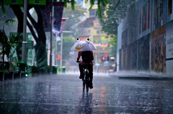 Fotgrafo faz srie do comportamento de pessoas na chuva;  Veja fotos 
