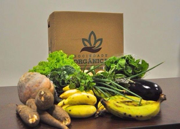 Em seu primeiro ano, sucesso de cestas de alimentos orgnicos muda vida de produtores de Pocon