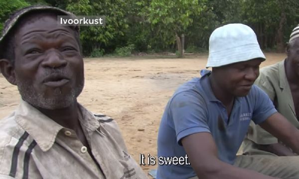 Eles produzem milhes de toneladas de cacau na Costa do Marfim, mas nunca tinham provado o resultado: chocolate.