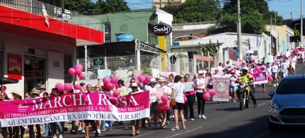 Marcha rosa de 2017