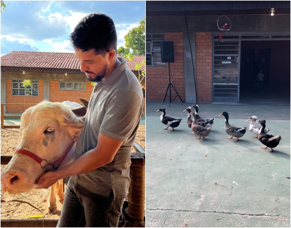 Cuiabano abre 'fazendinha urbana' com mais de 15 tipos de animais para interao com crianas
