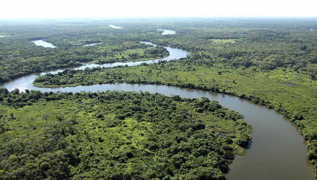 Novo roteiro leva turistas a trilha e passeio de barco na maior Reserva Particular no Pantanal
