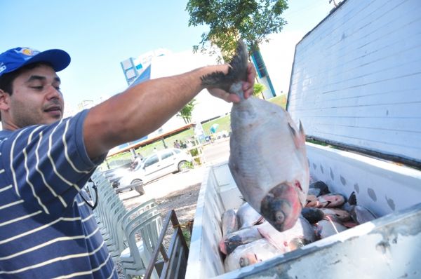 Mantendo a tradio, Prefeitura lana programao do peixe santo com pintado, tambatinga e pirapitinga na lista