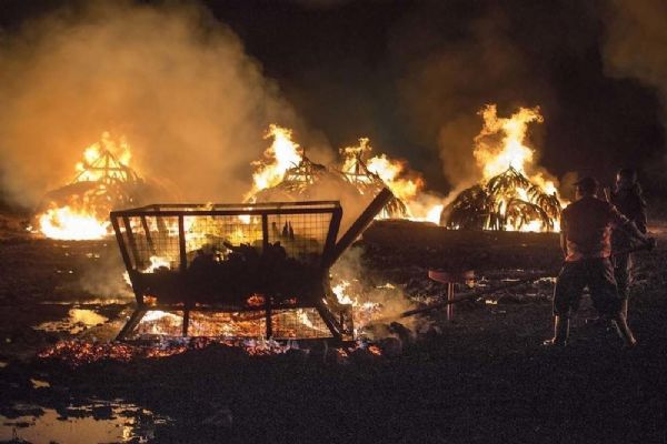 Fotos da maior queima de marfim da histria, no Qunia