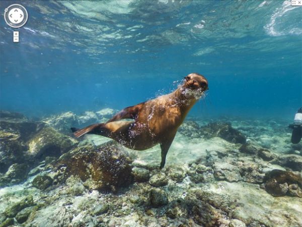 Galpagos, objeto de estudo de Darwin, ganha verso no Street View