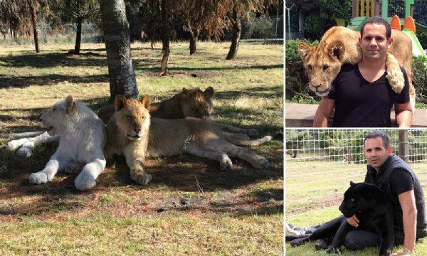 A histria do homem que resgata felinos maltratados em zoos, circos e outras atraes