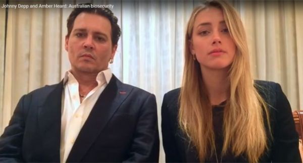 Johnny Depp e Amber Heard pedem desculpa por levar ces  Austrlia