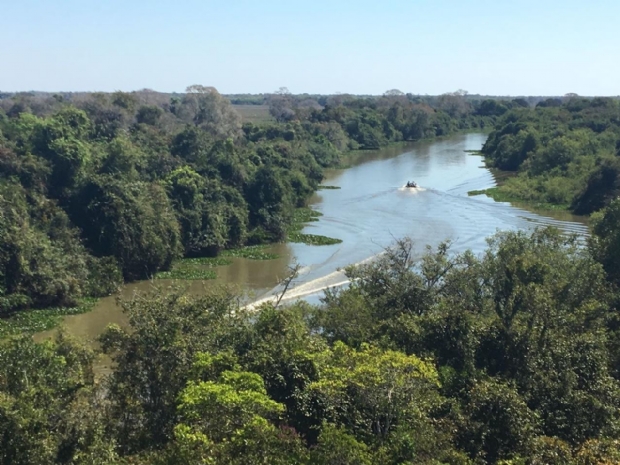 Hotel no Pantanal inaugura observatrio de pssaros com 16 metros de altura