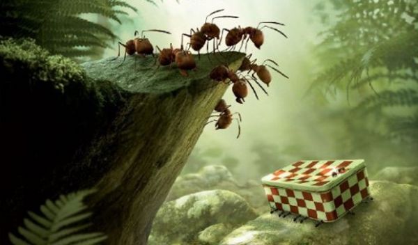 Estreia: 'Minsculos' encanta ao humanizar universo de insetos
