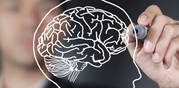 Neuropsicologia  a chave pra entender relao entre o crebro e o comportamento humano