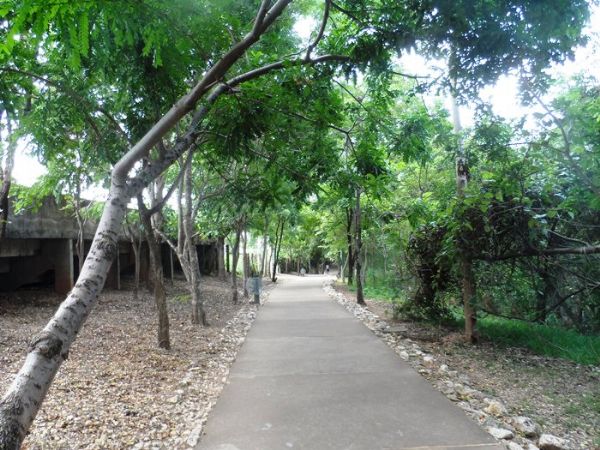 Nascente no parque Massairo Okamura  uma das poucas preservadas na rea urbana de Cuiab