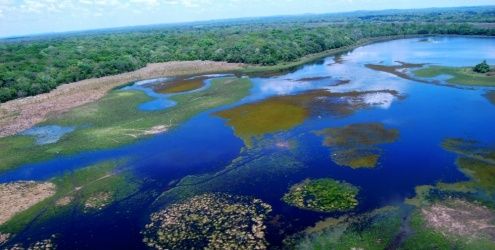 Seminrio do Turismo e limpeza da Transpantaneira chamam ateno para turismo do Pantanal nesta quarta
