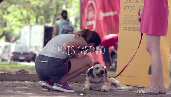 Abandonada e desnutrida, cachorrinha ganha 'Dia do Carinho' em praa de SP