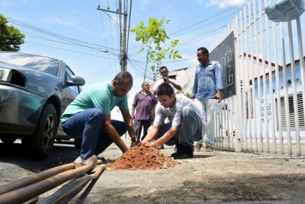 Moradores da capital recebem mudas de rvores em casa durante esta semana