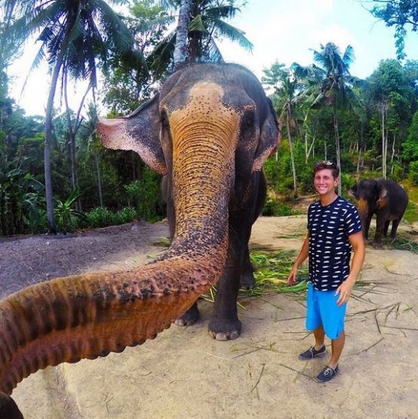 Selfie tirada por elefante em parque na Tailndia vira hit