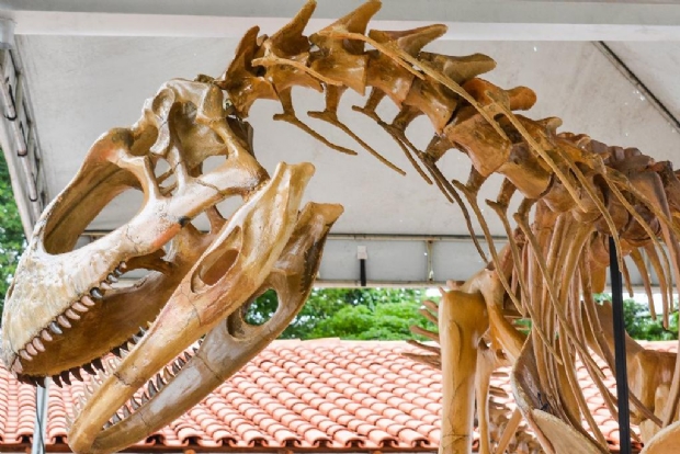 Rplica de dinossauro que viveu h 70 milhes de anos em Chapada est exposta para o pblico