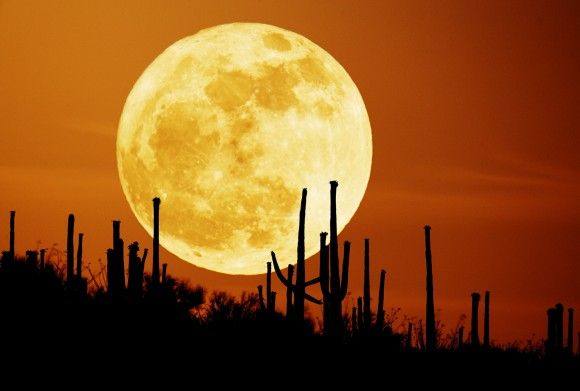 Durante o Perigeu, a Lua ficar 14% maior e 30% mais brilhante